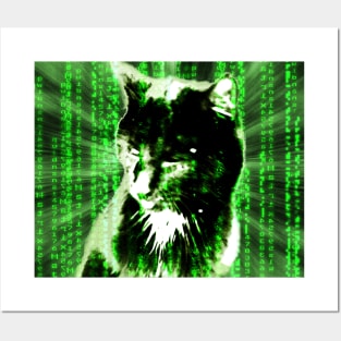 Matrix cat Posters and Art